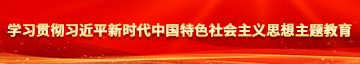 香港美女操逼內射学习贯彻习近平新时代中国特色社会主义思想主题教育